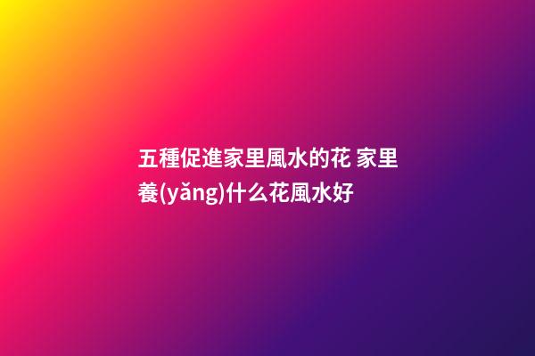 五種促進家里風水的花 家里養(yǎng)什么花風水好